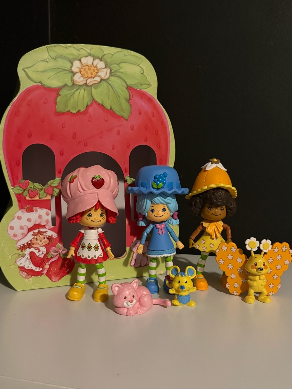 Strawberry Shortcake, Orange Blossom, and Blueberry Muffin with their pet’s